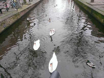 Delft