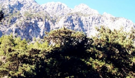 Φαράγγι Σαμαριάς