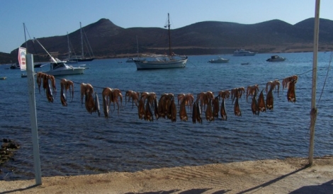 Αντίπαρος