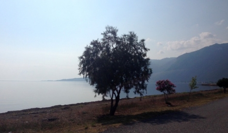 Καμμένα Βούρλα