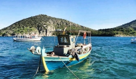 Τολό