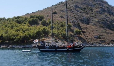Τολό
