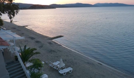 Τολό