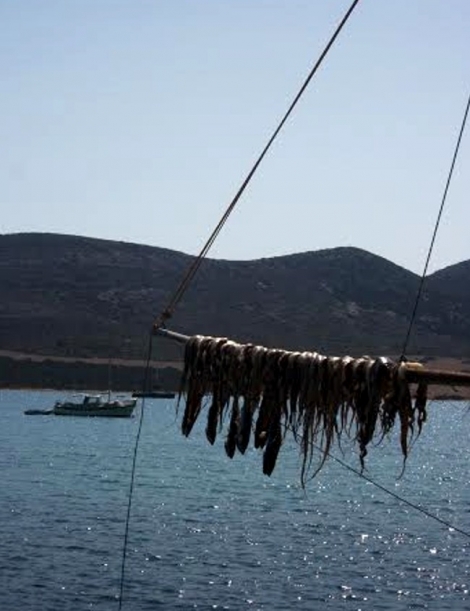 Αντιπαρος