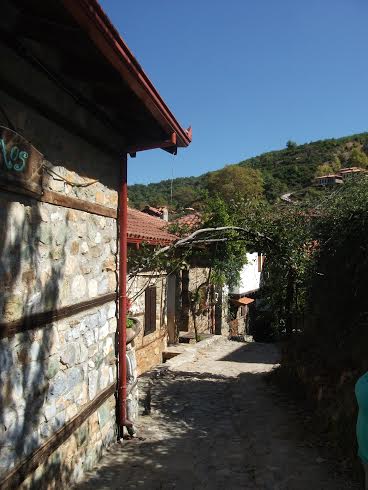 Παλαιός Παντελεήμονας