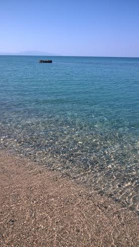 Καστροσυκιά