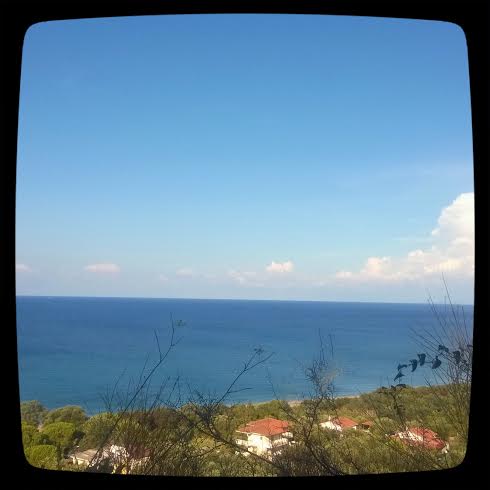 Καστροσυκιά