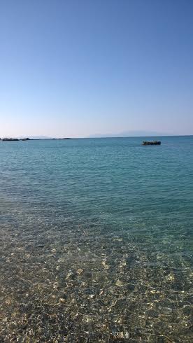 Καστροσυκιά