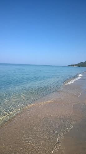 Καστροσυκιά