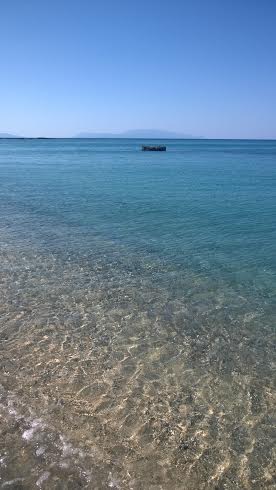 Καστροσυκιά