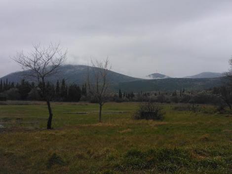Τριταία