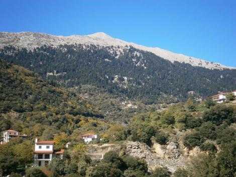 Κεραμιδιά