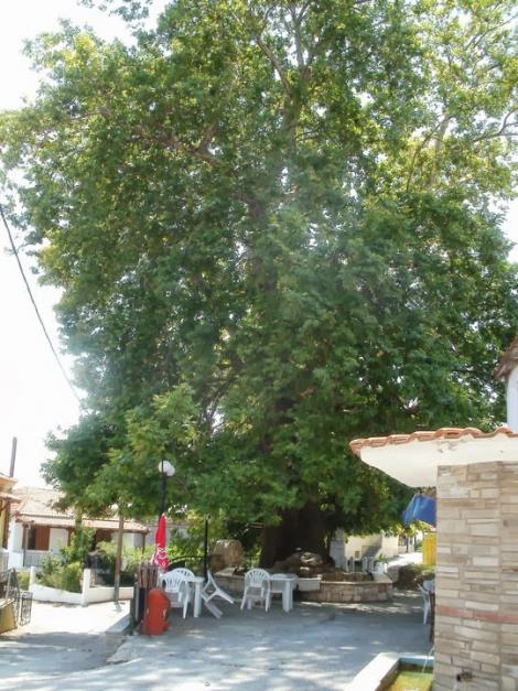 Μανδήλι