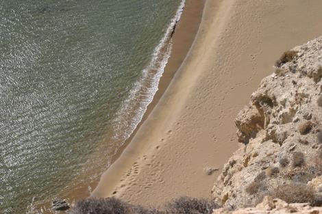Ανάφη