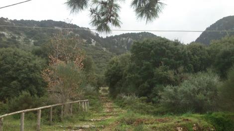 Σάλακος