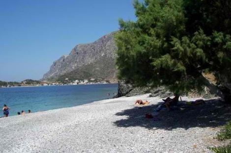 Μυρτιές