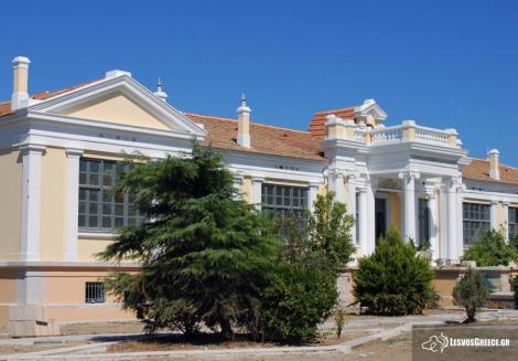 Καλλονή