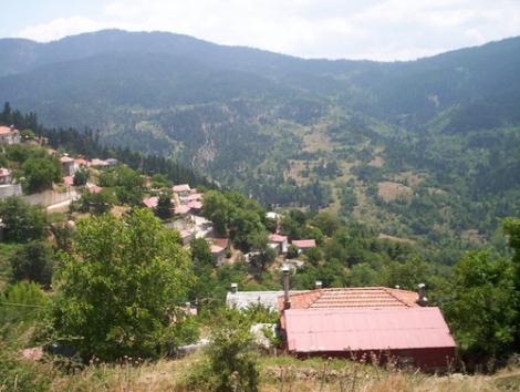 Μυρίκη
