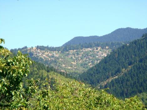 Μυρίκη