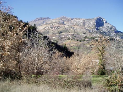 Περιστέρα