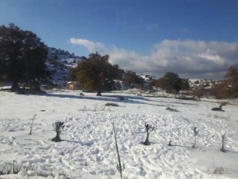 Ανώγεια