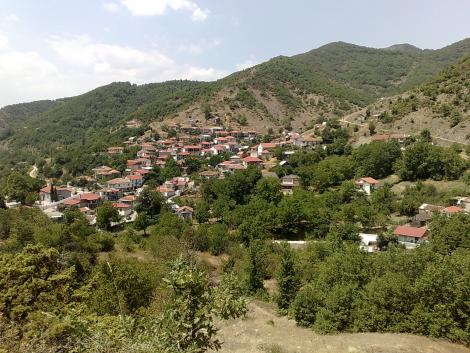 Μολόχα