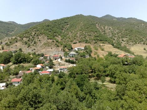 Μολόχα