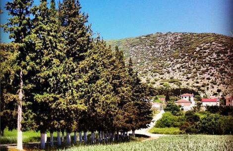 Νικηφόρος Δράμας