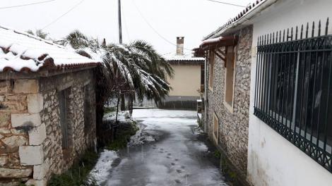 Πολυθέα