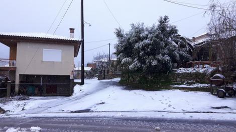 Πολυθέα