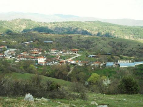 Μικρομηλιά
