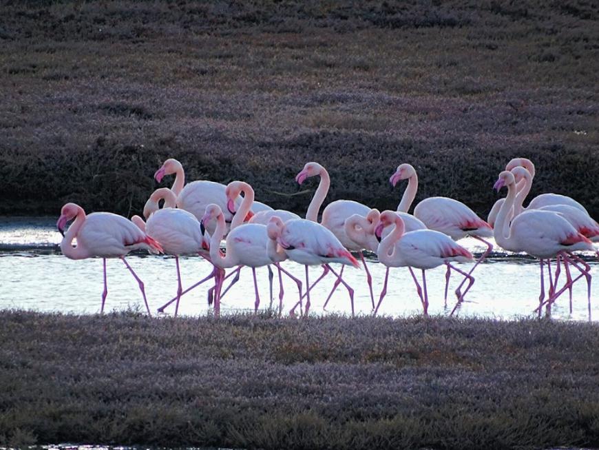 http://www.mariailiaki.gr/wp-content/uploads/2019/02/%CE%91%CE%B3%CE%AF%CE%B1-%CE%A3%CE%BF%CF%86%CE%AF%CE%B1-%CE%9B%CE%AE%CE%BC%CE%BD%CE%BF%CF%82-4-870x653.jpg