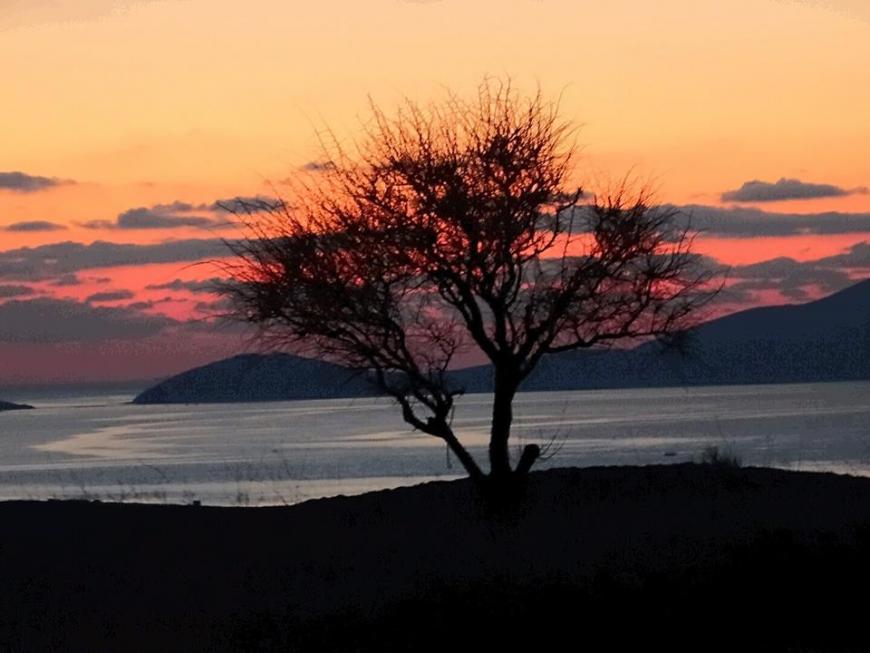 http://www.mariailiaki.gr/wp-content/uploads/2019/02/%CE%91%CE%B3%CE%AF%CE%B1-%CE%A3%CE%BF%CF%86%CE%AF%CE%B1-%CE%9B%CE%AE%CE%BC%CE%BD%CE%BF%CF%82-7-870x653.jpg