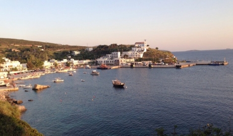 Λιναριά Σκύρος