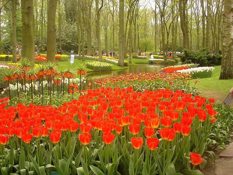 Keukenhof